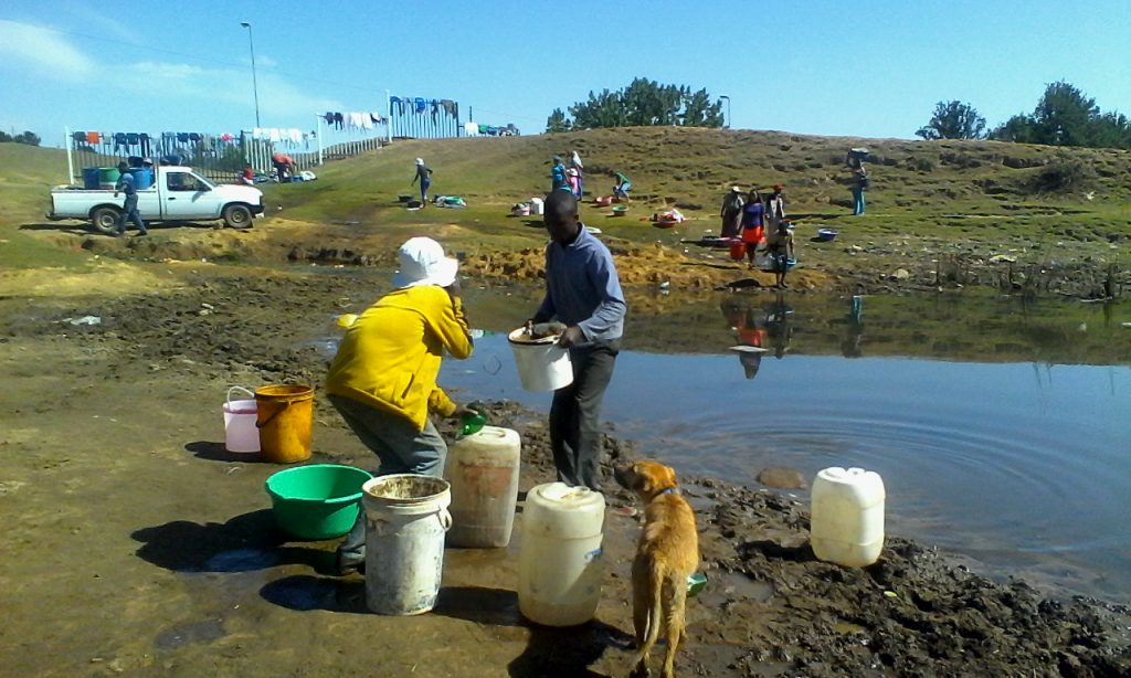 This dog looks at the residents drawing water for laundry, cooking and drinking, farming at the dam next to Temong