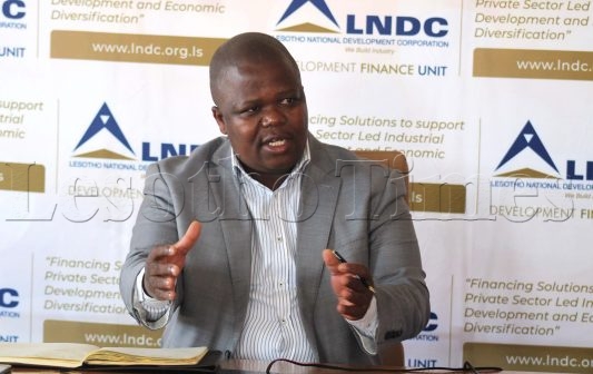 Diversification the key to economic development: Seleke - Vimarsana News