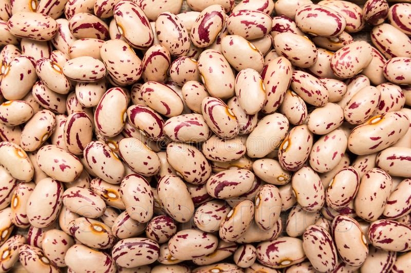 Legumes - Haleo