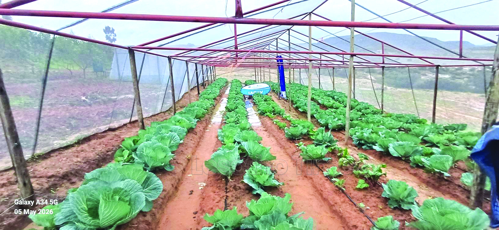 Adaptation Fund Mission assesses climate resilience projects 